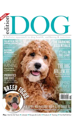 Edition Dog Magazine