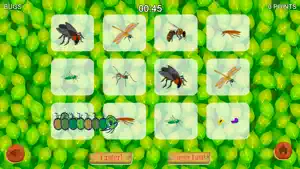 Caterpillar Game