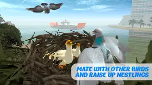 鸽子鸟生存模拟器3D
