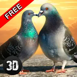 鸽子鸟生存模拟器3D